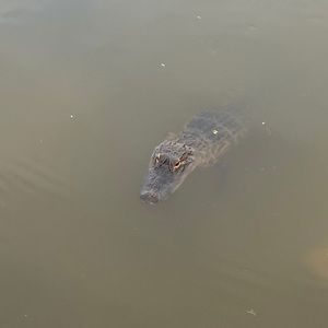 Meet your Posher, Gary